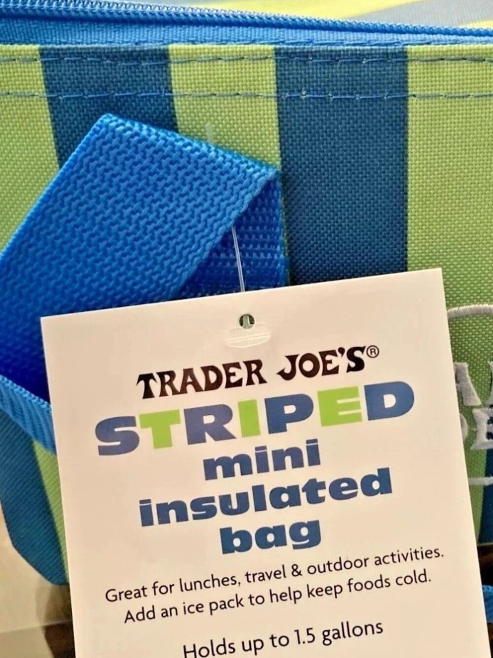 Trader Joe’s Mini Insulated Bag Blue & Green Stripes New Release Limited Edition - Picture 3 of 6